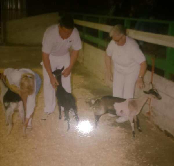 In Celebration Of Dorothy Ann Sowers Iowa Dairy Goat Association