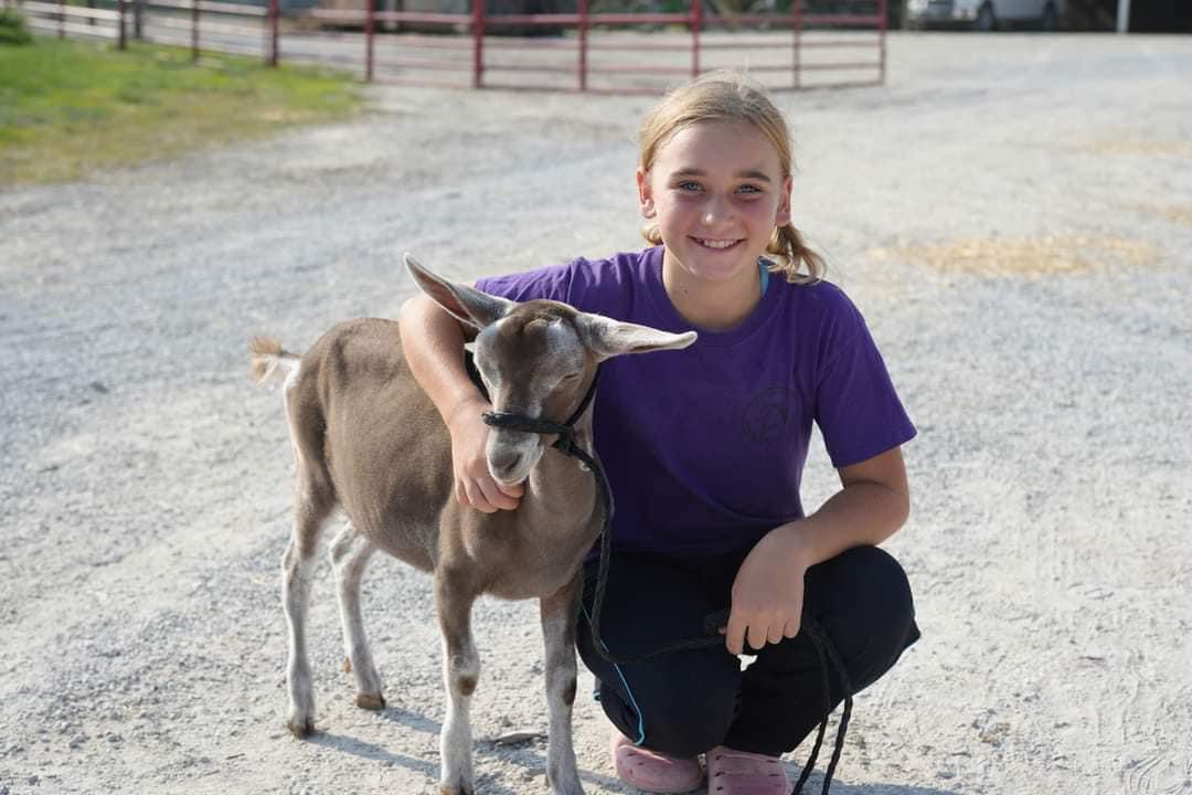 Iowa Dairy Goat Association For The Improvement And Promotion Of The